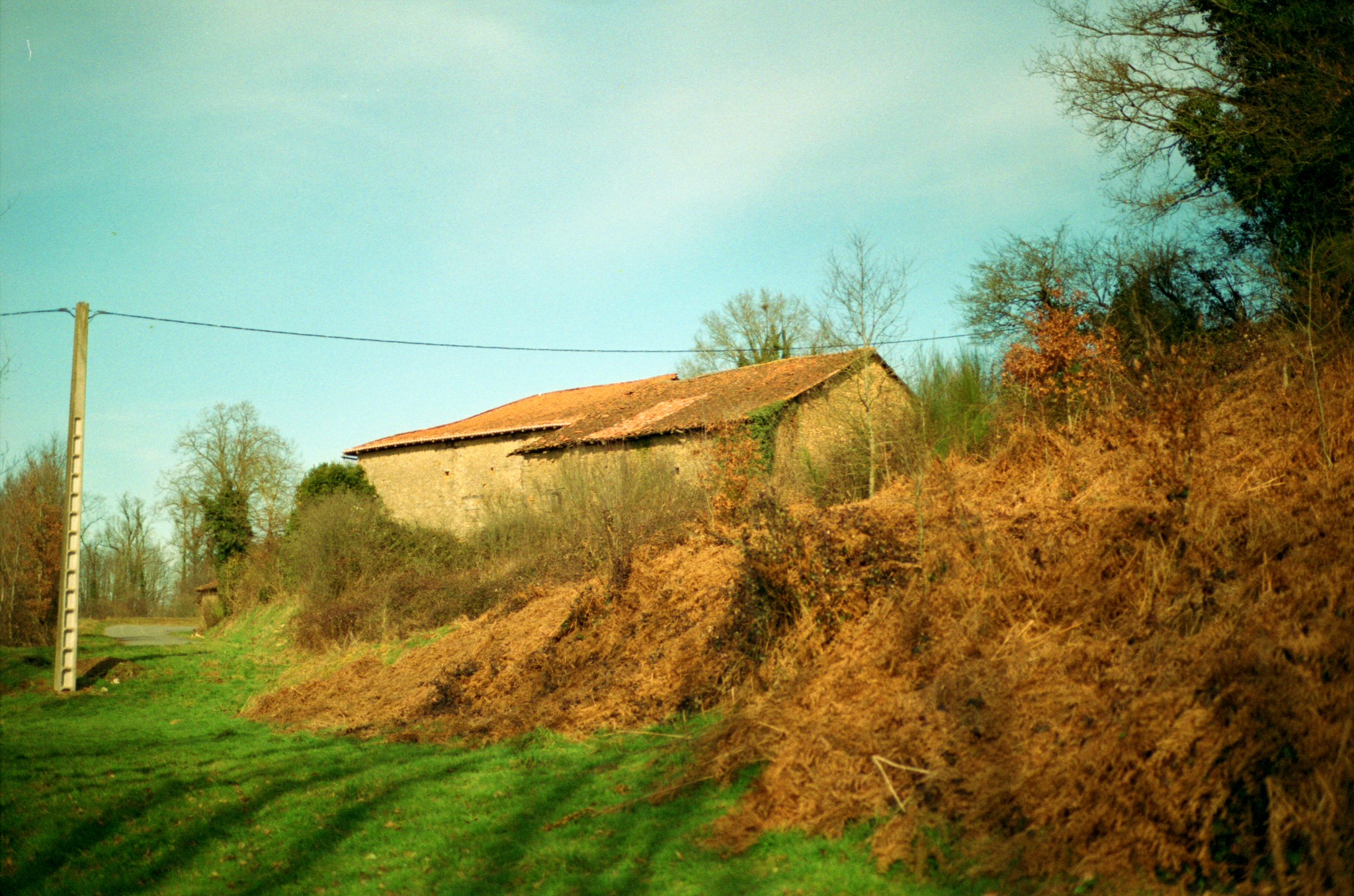 沿著亞里斯多德與盧梭的步伐:散步成為人類最古老的思考方式