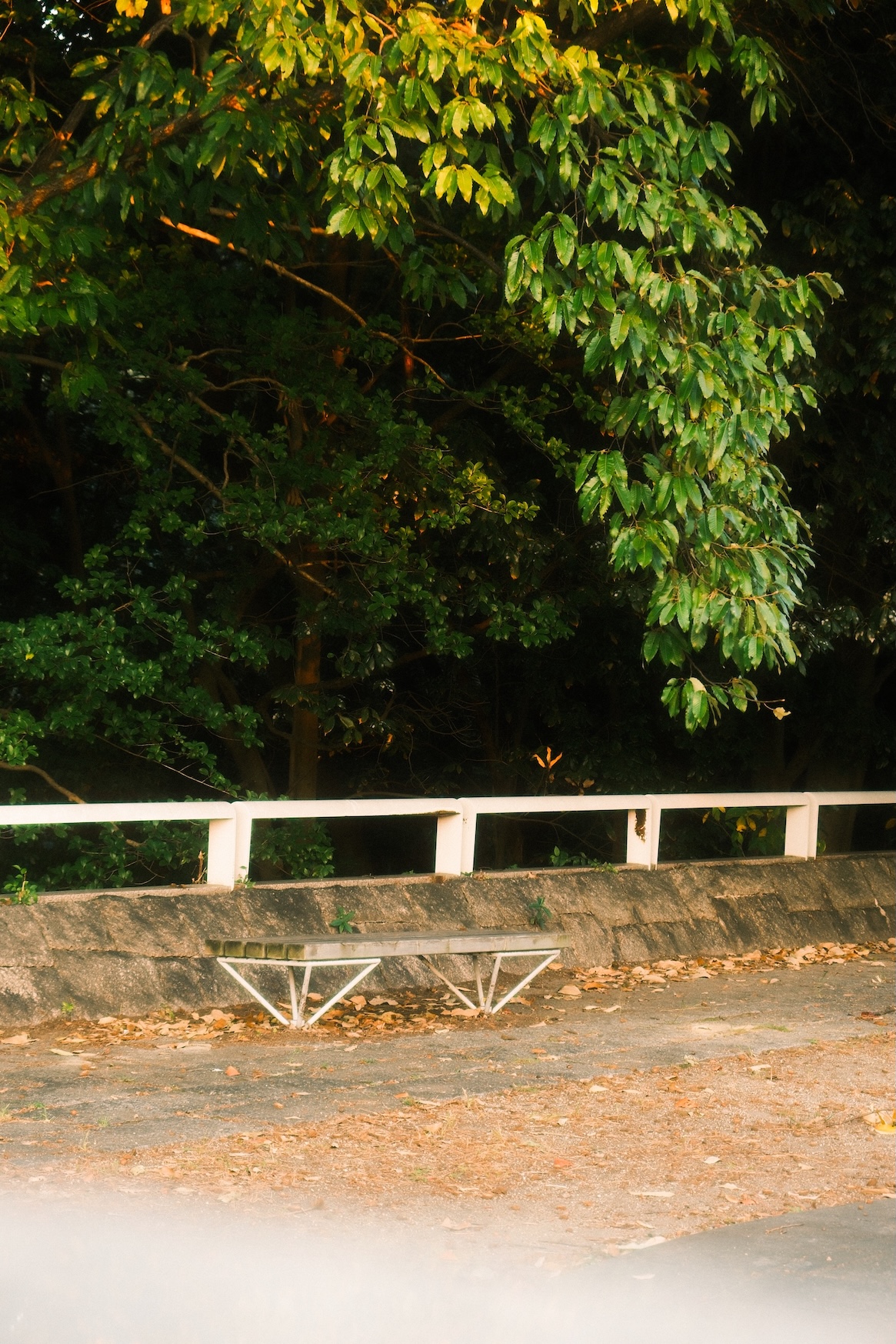 美術館內外的椅子設計細節，呼應著建築的線條主題