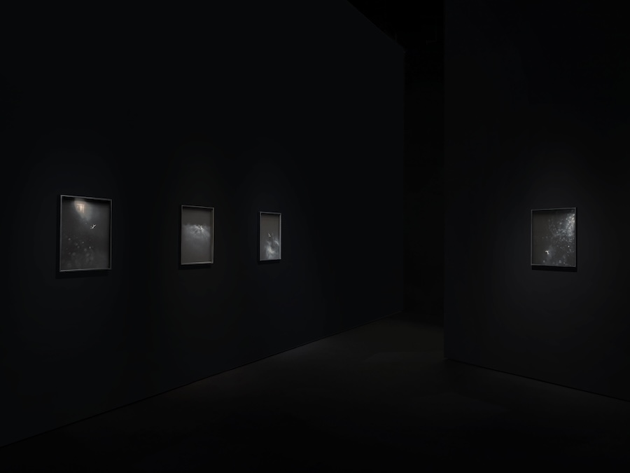 水下不寂靜,萬物的美麗與脆弱:法瑞藝術家朱利安·沙裡埃 Julian Charrière 午夜地帶